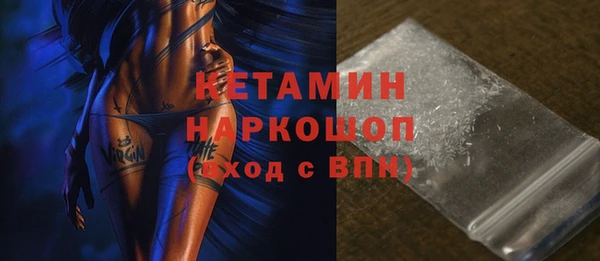 шишки Новозыбков
