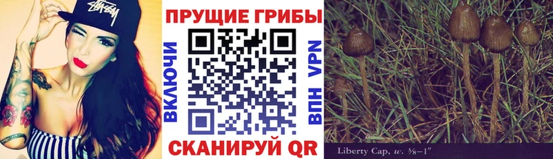 Галлюциногенные грибы Magic Shrooms  Нефтегорск 