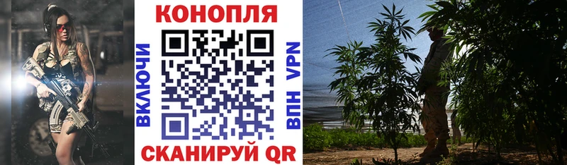 мега вход  Нефтегорск  Бошки марихуана марихуана 